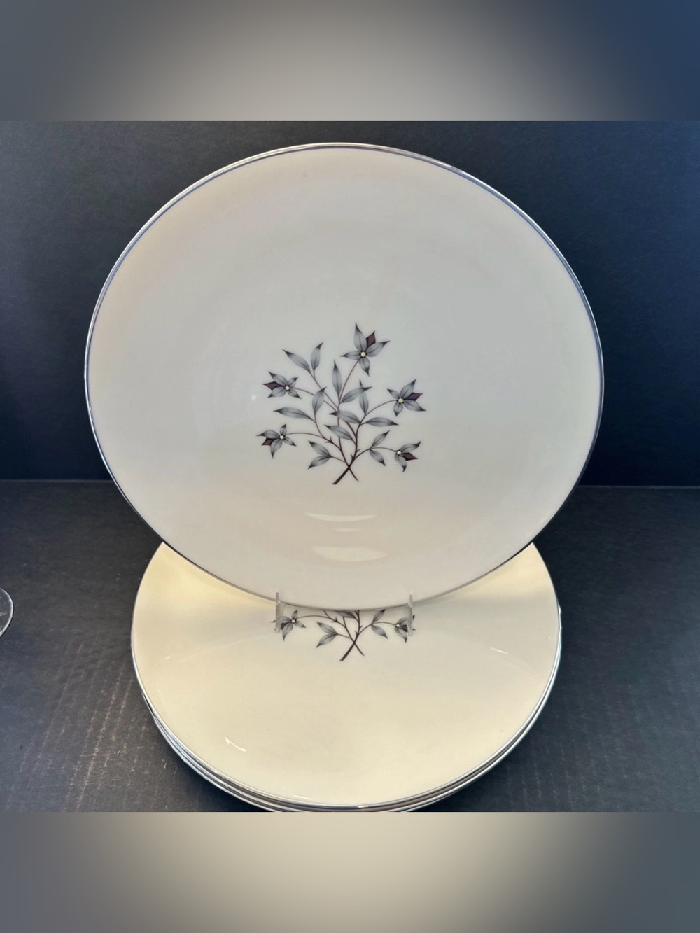Lenox Princess Dinner Plates PAIR Hand Enameled Platinum Trim Thanksgiving Fall